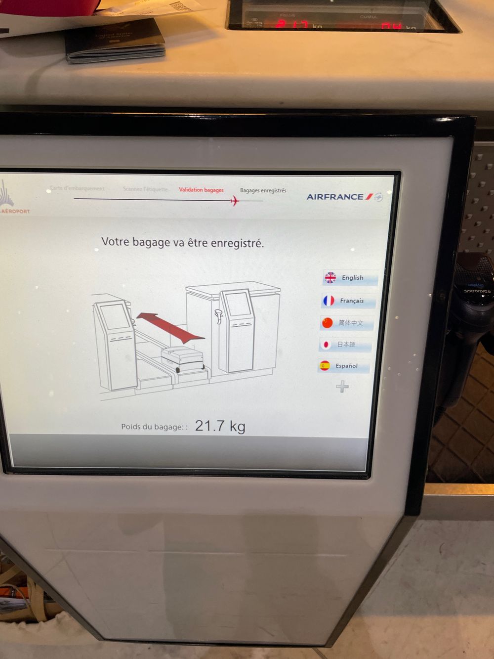 Checked baggage registration screen air france IMG_2573