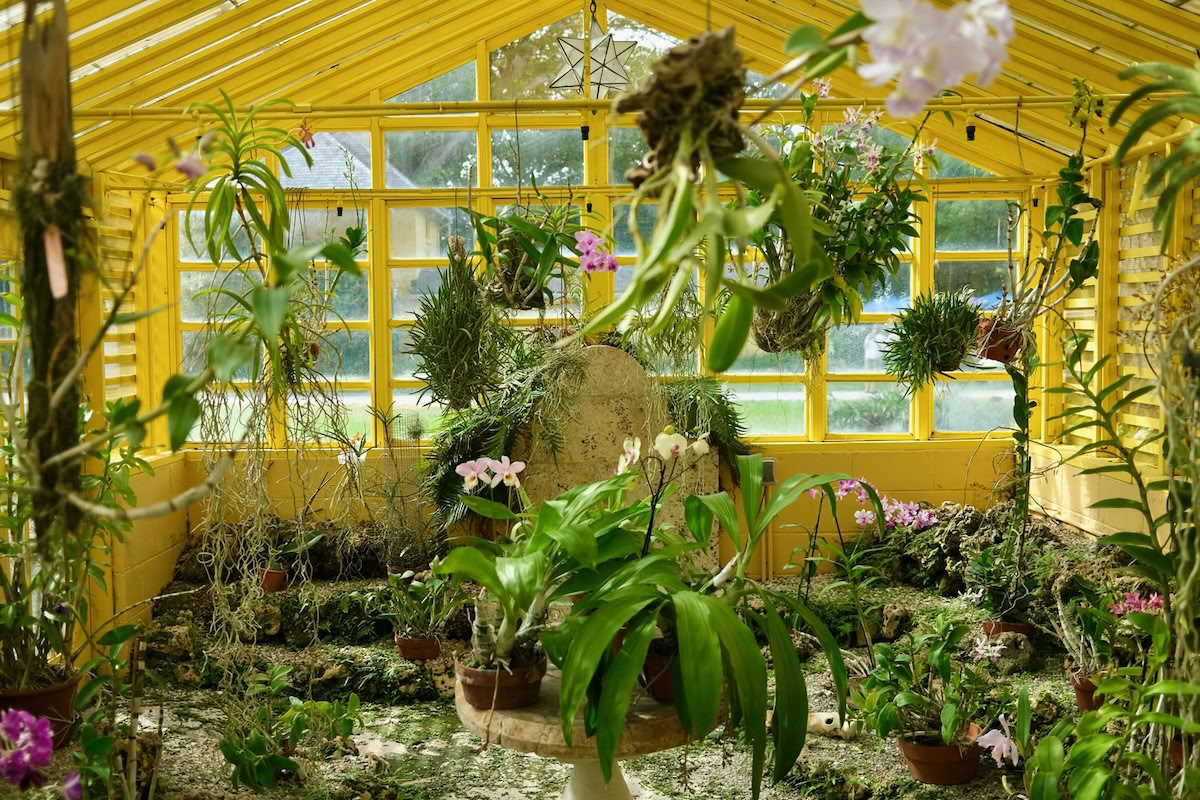 Bonnet House greenhouse Fort Lauderdale_DSCF5050